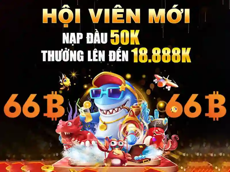 66B: một cái nhìn tổng quan về kích thước và ý nghĩa