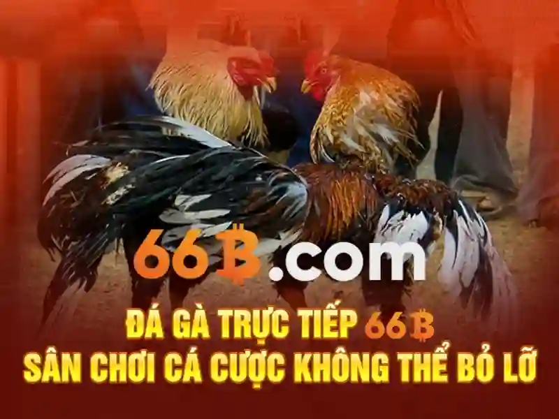 66B: mô hình ngôn ngữ lớn và những thách thức