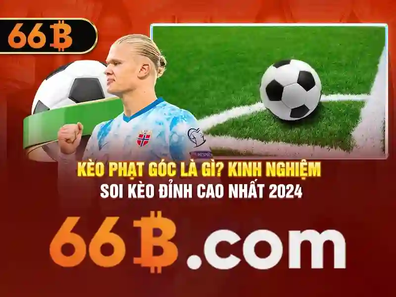 hỗ trợ 66b: Giải pháp đột phá cho y tế và công nghệ