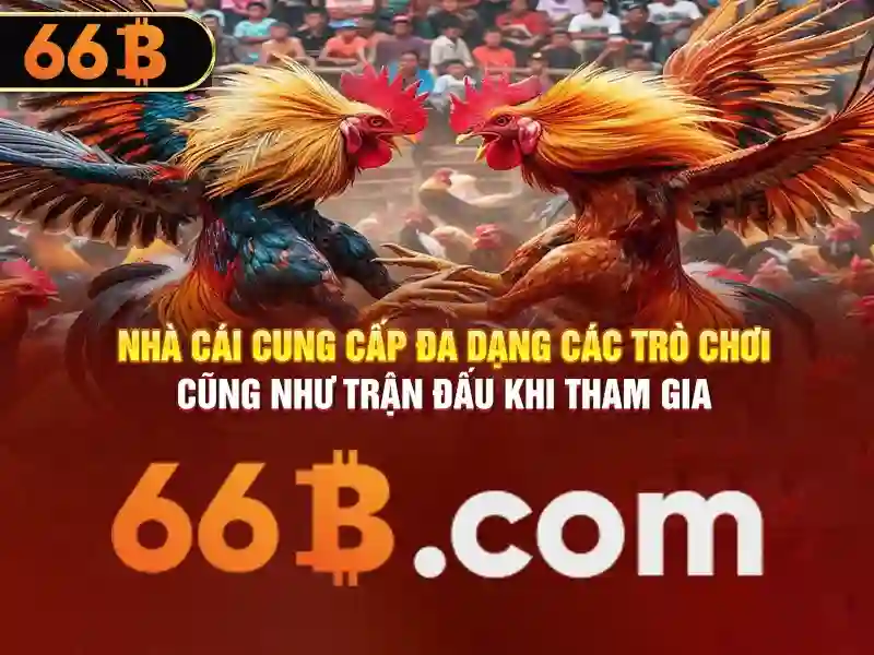 Tổng quan sảnh cá cược thể thao 66b với giao diện hiện đại