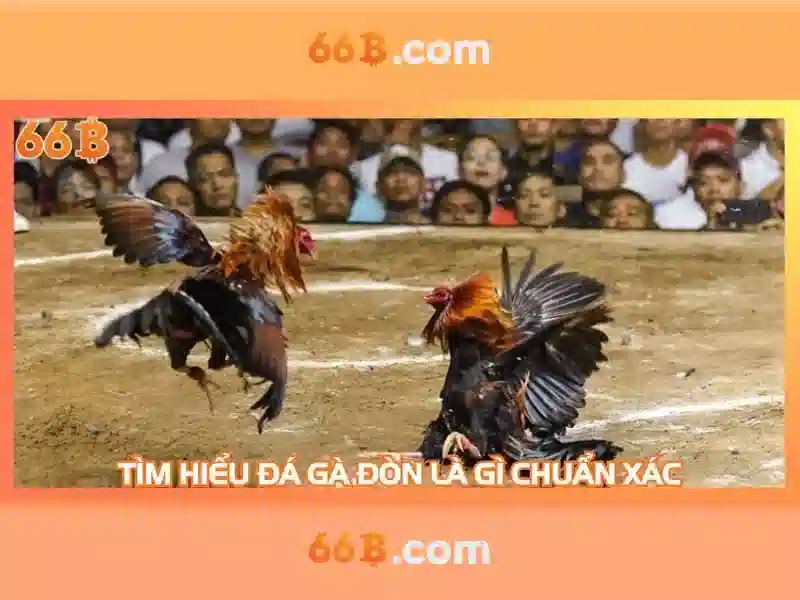 66b đặng tiến đông – Hành trình thương hiệu và trải nghiệm