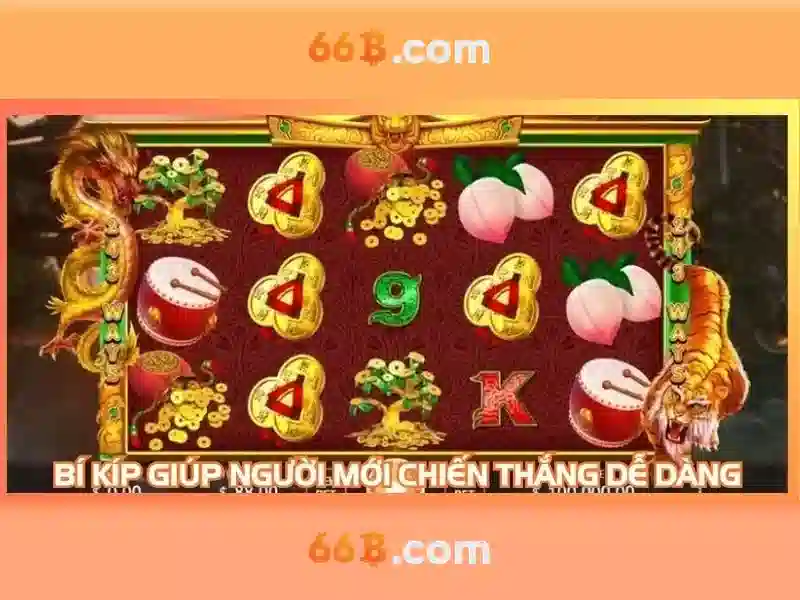 66b of the b: Tổng quan, sứ mệnh và tương lai