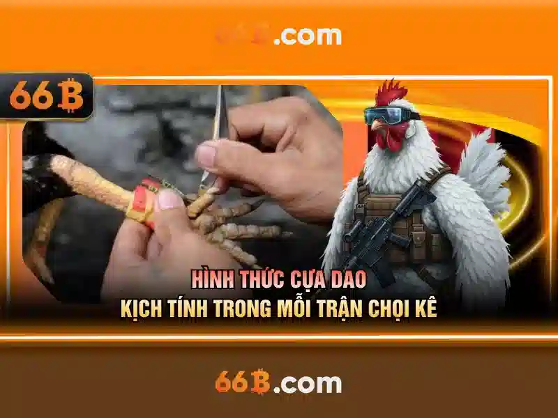 66b: Khái niệm, ý nghĩa và ứng dụng