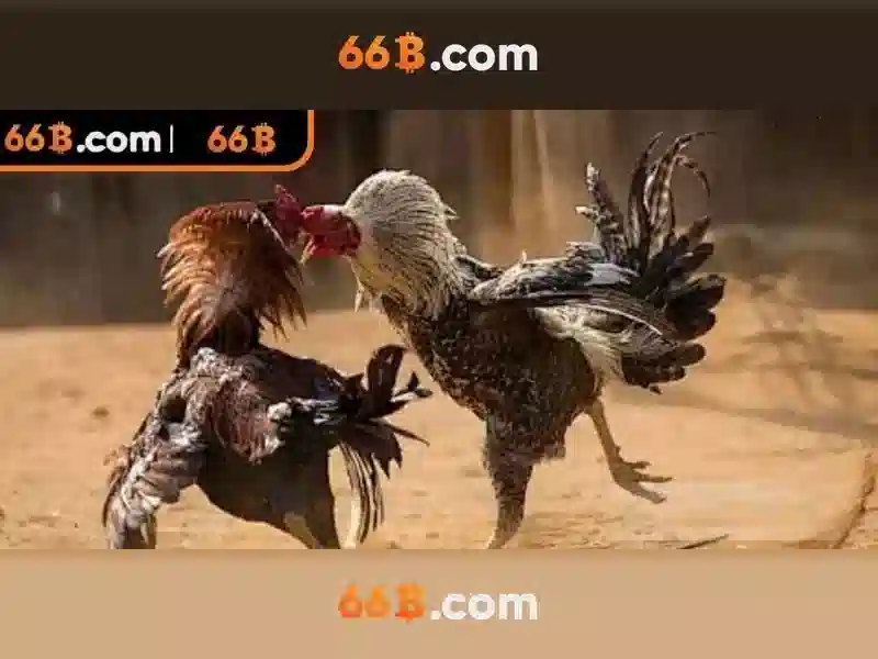 66B: Hiệu suất và ứng dụng của mô hình ngôn ngữ 66 tỷ tham số