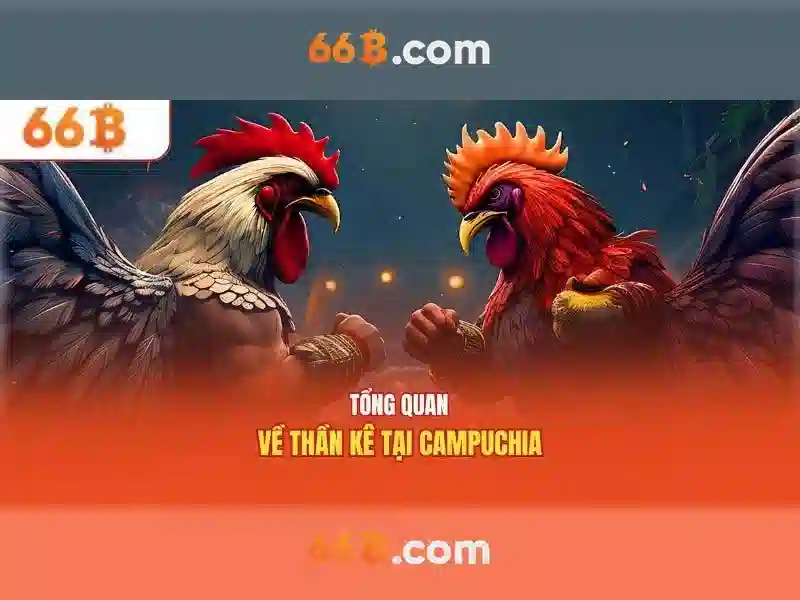 66b: Hành trình của một ký hiệu số