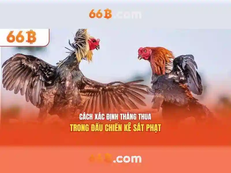 Về 66B: Khám phá mô hình ngôn ngữ quy mô lớn 66 tỷ tham số
