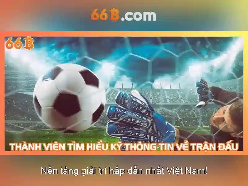 66b: một khái niệm và những ảnh hưởng