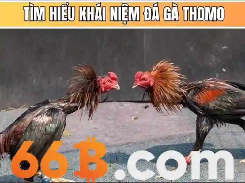 Bieu-tuong-cac-cap-do-vip-tu-dong-den-kim-cuong-tai-66b